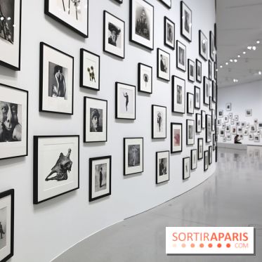 Remember Me : nos photos de l'exposition à la Bourse de Commerce