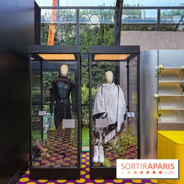 Les costumes de la saga Hunger Games s’exposent au Musée Rodin