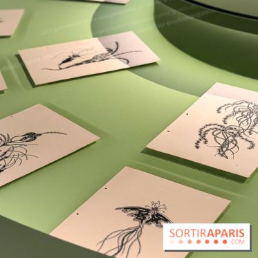 Gustave Fayet à la Fondation Louis Vuitton : Van Gogh, Gauguin et Redon dans une exposition événement