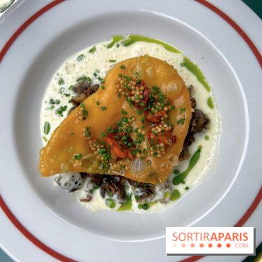 Brasserie Fougue Beaupassage - Escargots en persillade