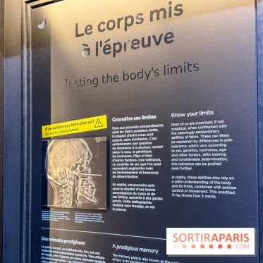 Magie à la Cité des sciences, l'expo qui explique pourquoi on se fait avoir