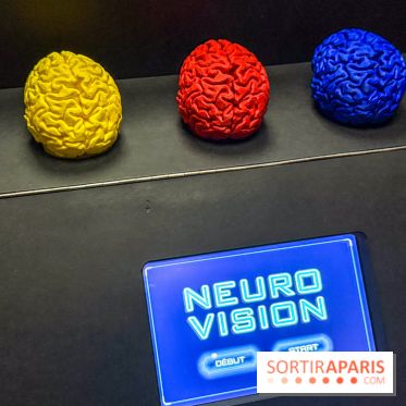 Magie à la Cité des sciences, l'expo qui explique pourquoi on se fait avoir