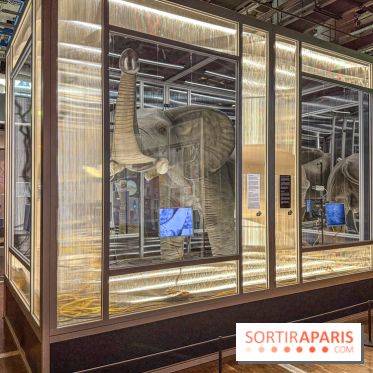 Magie à la Cité des sciences, l'expo qui explique pourquoi on se fait avoir