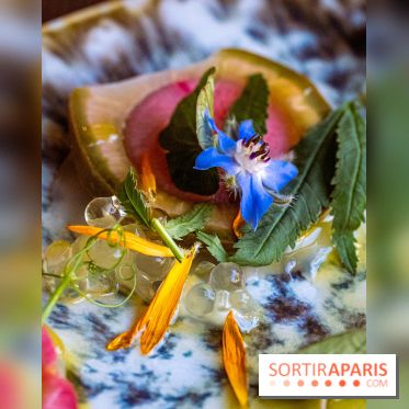 L'Ermitage Saint-Antoine, le charmant restaurant gastronomique à Barbizon