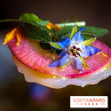 L'Ermitage Saint-Antoine, le charmant restaurant gastronomique à Barbizon
