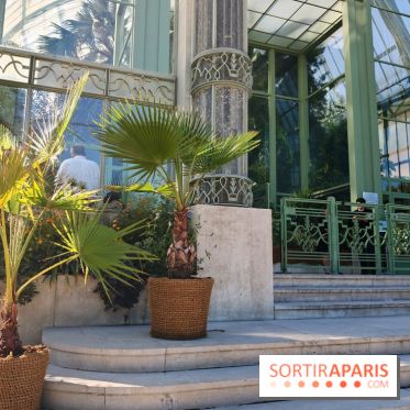 Automne tropical 2026