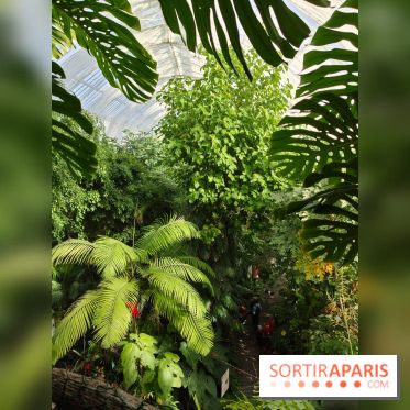 Automne tropical 2026
