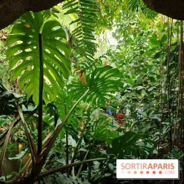 Automne tropical 2026