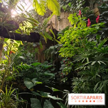 Automne tropical 2026