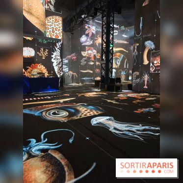 Plongez à la découverte de Planète Océan, l’exposition immersive de l’Atelier des Lumières