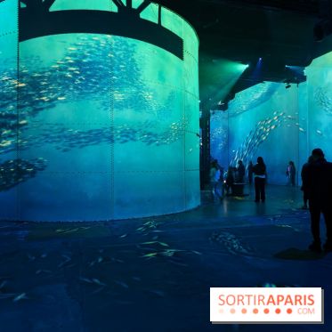 Plongez à la découverte de Planète Océan, l’exposition immersive de l’Atelier des Lumières