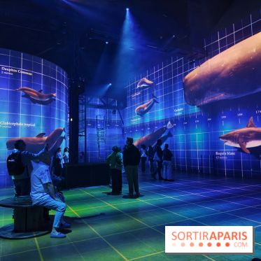 Plongez à la découverte de Planète Océan, l’exposition immersive de l’Atelier des Lumières