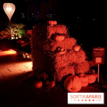 Parc de l'Étrange 2026 : Pyramide de foin et citrouilles dans un décor d’Halloween nocturne