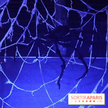 Parc de l'Étrange 2026 : Araignée géante dans une toile lumineuse bleue