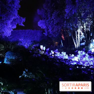 Parc de l'Étrange 2026 : Jardin nocturne sous éclairage violet et bleu