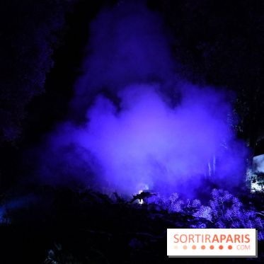 Parc de l'Étrange 2026 : Fumée bleue dans le parc nocturne