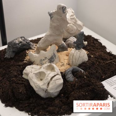 Aux frontières de l'imaginaire : Paysage minéral imaginaire en argile