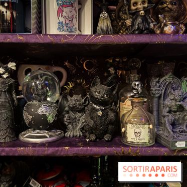 Boutique d'Halloween "Y'en a que pour lui"