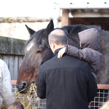 la fête du goût à la ferme de Gally
