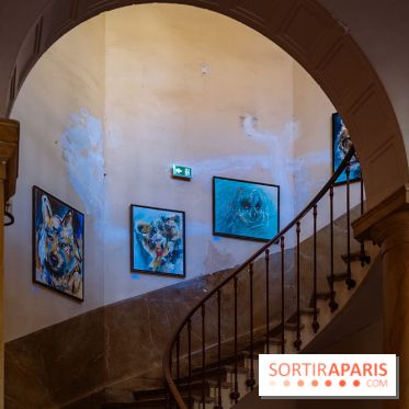 Empreintes, l'exposition Street-art gratuite de Sax à la Fondation Eugène Napoléon