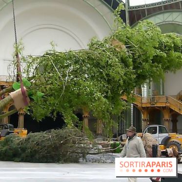 L'art du Jardin au Grand Palais