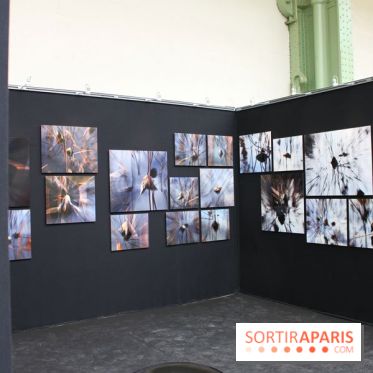 L'Art du Jardin au Grand Palais