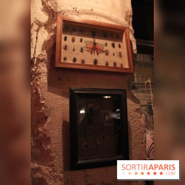 Restaurant : Le Cabinet de sa Majesté