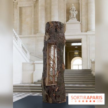 Penone au Château de Versailles, Albero porta – cedro | Arbre porte