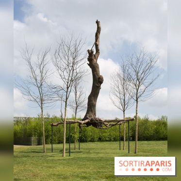 Penone au Château de Versailles, Elevazione | Élévation, 2011