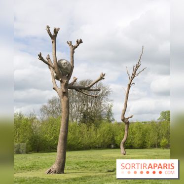 Penone au Château de Versailles, Idee di pietra
