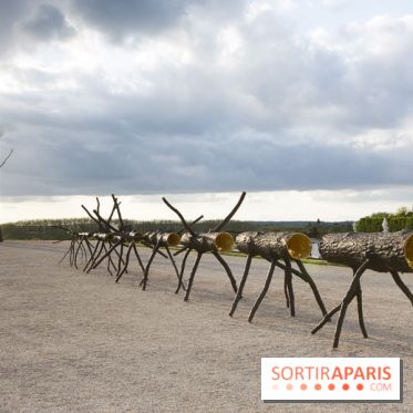 Penone au Château de Versailles, Spazio di luce | Espace de lumière