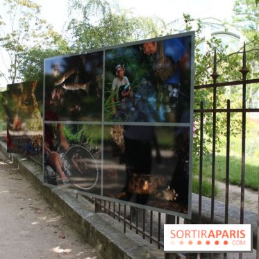 Exposition Planète Grenouille par Cyril Ruoso au Jardin des Plantes