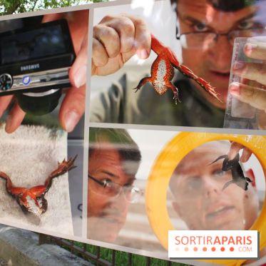 Exposition Planète Grenouille par Cyril Ruoso au Jardin des Plantes