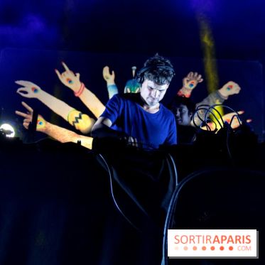 The Peacock Society 2013