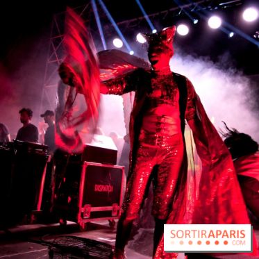 The Peacock Society 2013