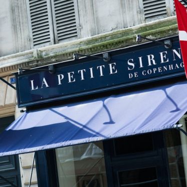 La Petite Sirène De Copenhague