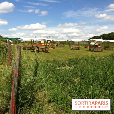 Les Labyrinthes de Gally