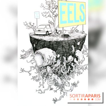 Rock en Seine 2013 : Affiche Eels