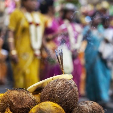 La Fête de Ganesh 2013