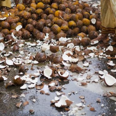 La Fête de Ganesh 2013