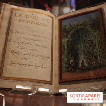 Le labyrinthe de Versailles : Manuscrit et gravures de Sébastien Leclerc, enluminées par Jacques Bailly