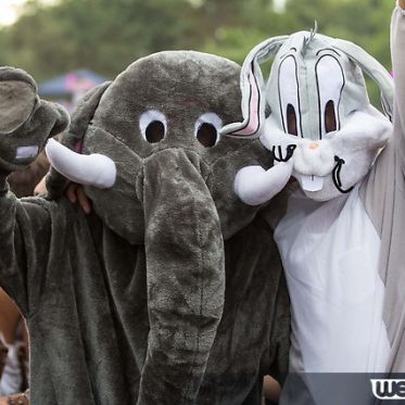 Inox Park Festival 2013