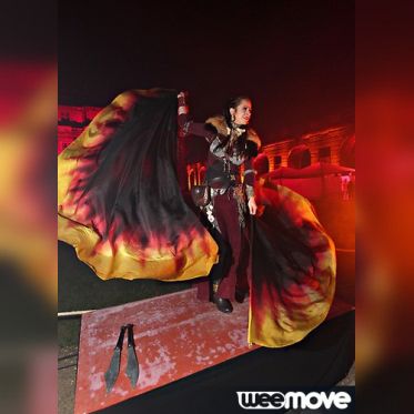 La Nuit des Ambassadeurs 2013 : Le Tournoi des XVI Royaumes