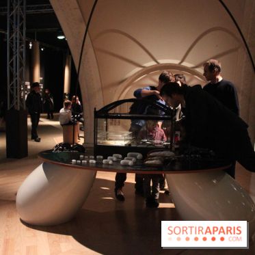 Mille milliards de fourmis au Palais de la Découverte