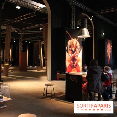 Mille milliards de fourmis au Palais de la Découverte