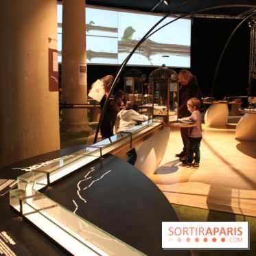 Mille milliards de fourmis au Palais de la Découverte