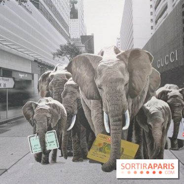 Chine La Belle – Samantha's P on P Art World au Carrousel du Louvre