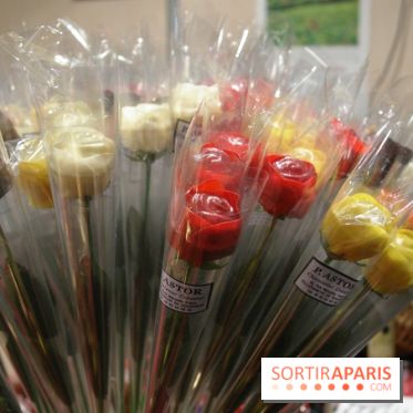 Salon du Chocolat 2013 - Paris Expo Porte de Versailles