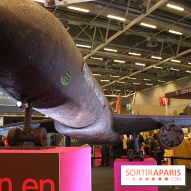 Salon du chocolat 2013: Avion en chocolat