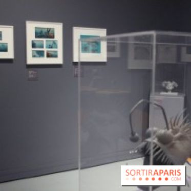 Pixar, l'exposition au Musée Art Ludique